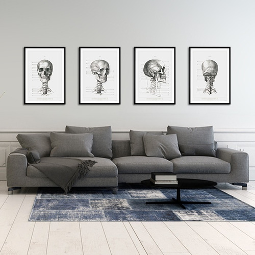 4 Láminas De Anatomía Humana