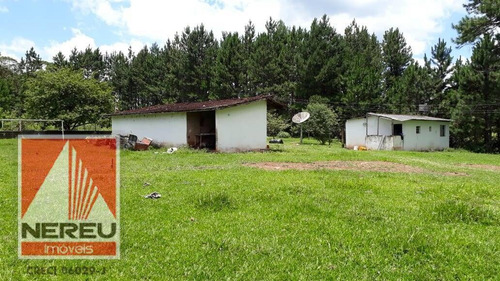 Imagem 14 de 15 de Chácara Plana - 61