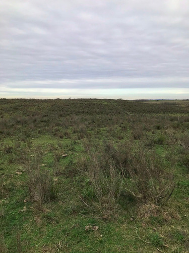 Campo De 16 Hectáreas, A 14 Kms De San Jacinto