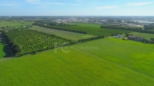 Imagen 8 de 21 de Venta Campo 11 Has Rincon Del Cerro Montevideo