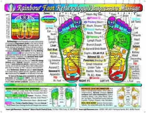 Book : Rainbow Foot Reflexology/ Acupressure Massage Chart