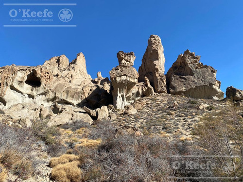 Campo En Venta De 635 Has Bariloche, Costa Del Pichileufu, Rio Negro.