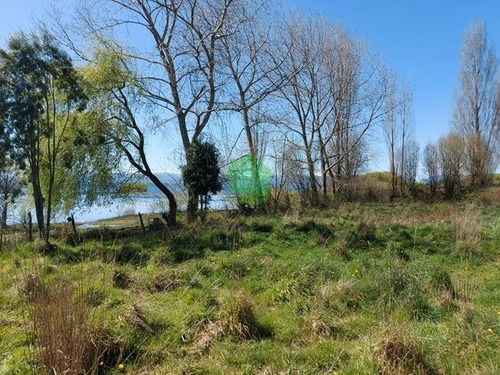 Imagen 9 de 11 de Sitio En Venta En Puyehue