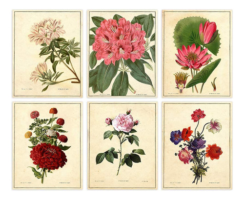 Impresiones De Flores Botánicas Vintage, 8x10 Sin Marc...
