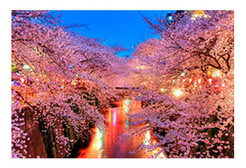 Vinilo 60x90cm Paisaje Japon Hanami Canal Ciudad Puente