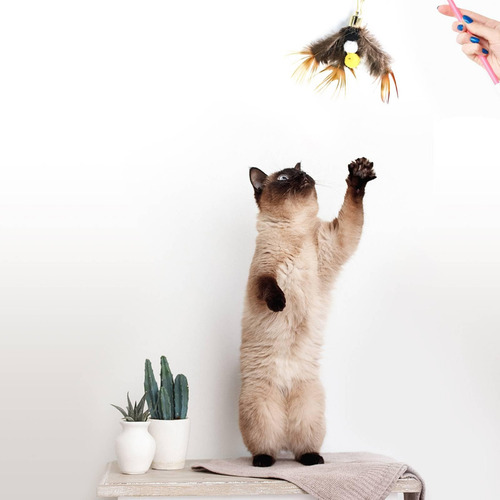 Recambio De Plumas Para Varita De Juguete Para Gatos