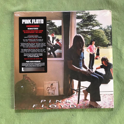 Pink Floyd Ummagumma (vinilo) Doble Lp Importado 