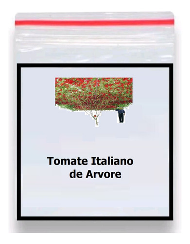 50 Sementes Tomate De Árvore Italiano Gigante Frete Grátis!!