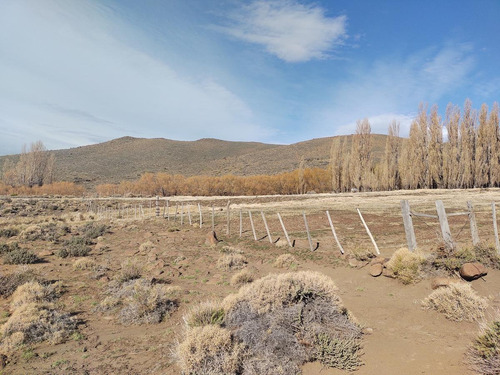 Imagen 8 de 14 de Campo En Venta - Espinazo Del Zorro - Aluminé