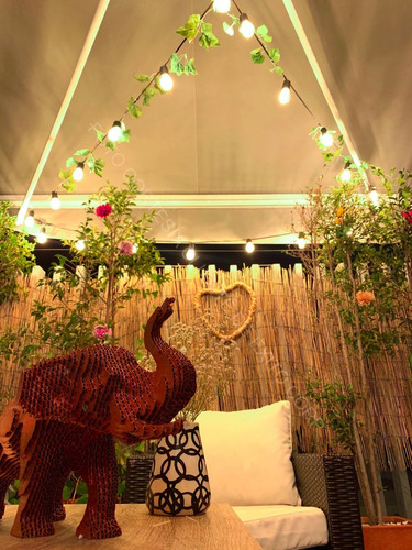 Imagen 4 de 9 de Extension Bombillos Vintage Led Exteriores Personalizada