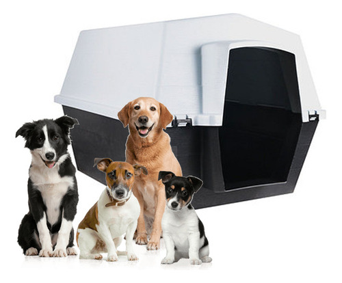 Casa Pa Perros Kennel Dog House Talla M Calidad Polietileno