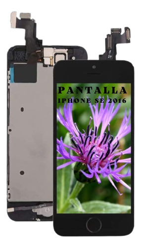 Pantalla iPhone SE 2016 - Tienda Física