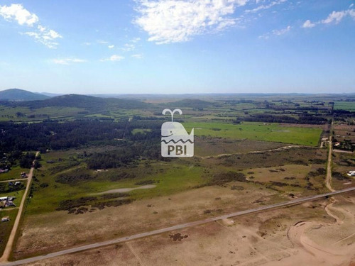 Imagen 4 de 9 de Chacra En Venta Punta Negra - Ref : Pbi589