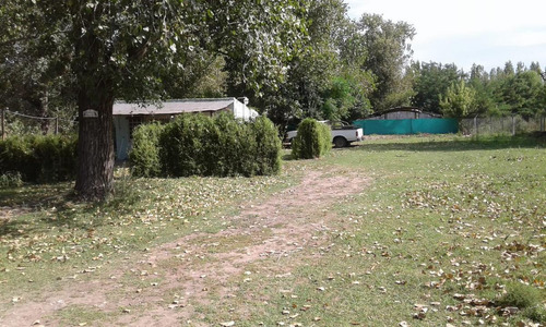 Imagen 6 de 7 de Quinta - Carmen De Areco