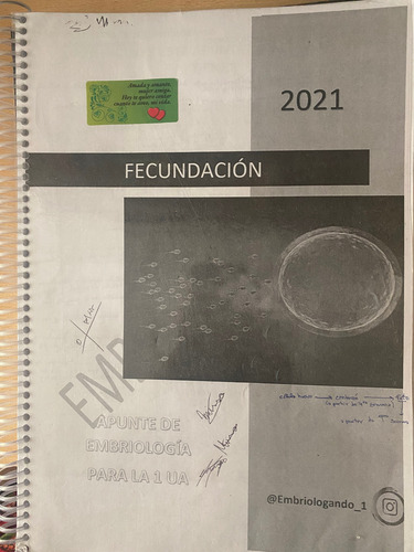 Embriología Humana-flores +sintesis Conceptual+apunte Regalo