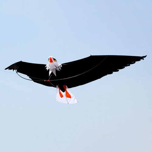 Nueva Cometa De Acrobacia De Una Sola Línea De Cometa De Águ