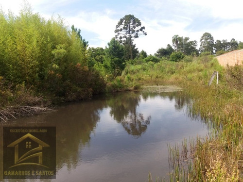 Imagem 9 de 11 de Terreno Com 2.500m² Em Quatro Barras - Te00022 - 33357972