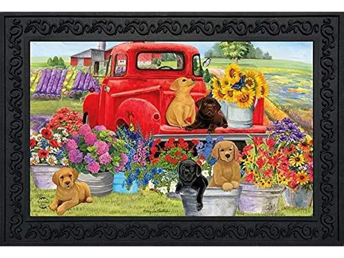 comprar ~? Spring Day Puppies Felpudo Perros Interior Exterior 18  X