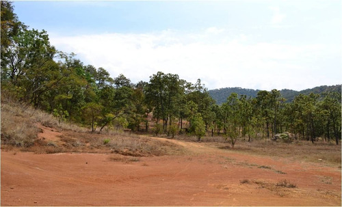 Terreno En Venta En Temascaltepec.
