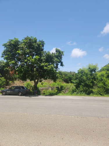 Terreno Avenida Luisa C. De Arismendi, Atamo Sur