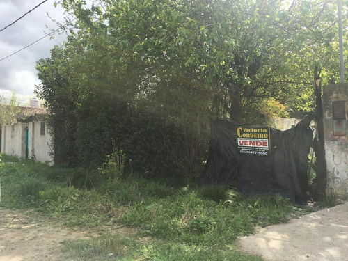 Terreno - M.paz Urbano