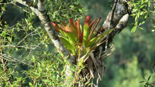 Imagem 10 de 13 de Terreno A Venda Jardim Dos Pinheiros Ii - 864