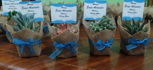 Imagen 8 de 9 de Recuerdos Vivos Para Bodas, Bautizos, Baby Shower, Misas