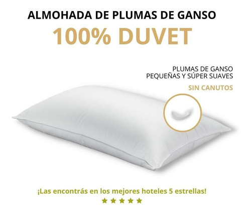 Almohada 100% Duvet 50x70 Pack X 2 Unidades 750 Grs.