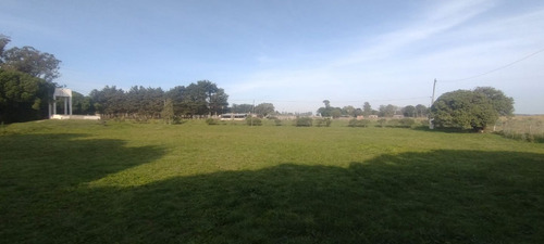 Quinta En Venta En Mar Del Plata
