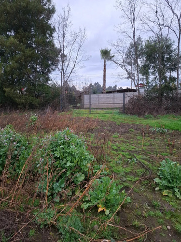 Hermosa Parcela 2 Ha.  20.000 M2,  Estacion De Villa Alegre