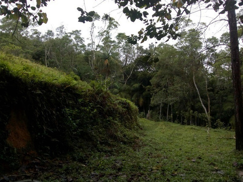 Imagem 11 de 30 de Sítio À Venda Em Juquitiba! - 172 - 34443922