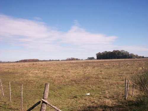 Terreno En Venta En Praderas De Lujan