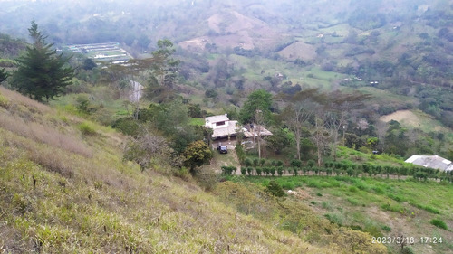 Hermosa Finca, Descanso O Producción Agropecuaria.