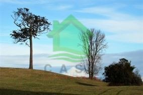 Imagen 4 de 10 de Agrícola En Venta En Puyehue