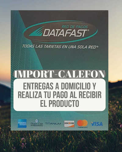 Imagen 4 de 8 de Calefon Instamatic Vaper 26 Lts A Gas Nuevo