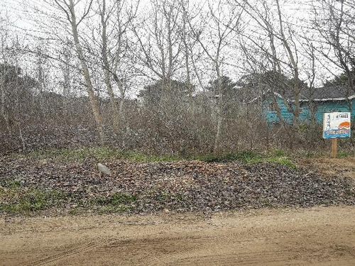 Imagen 2 de 5 de Lote En Las Gaviotas