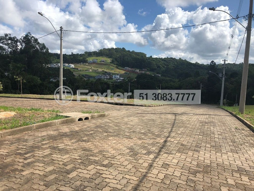 Imagem 16 de 21 de Terreno, 229.5 M², Campo Novo - 190370