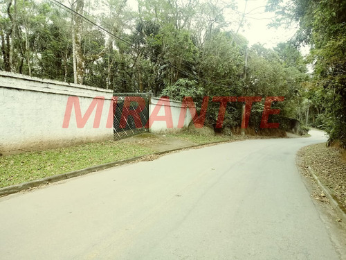 Imagem 6 de 8 de Terreno Em Serra Da Cantareira - São Paulo, Sp - 328727