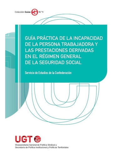 Libro Guã­a Prã¡ctica De La Incapacidad De La Persona Tra...