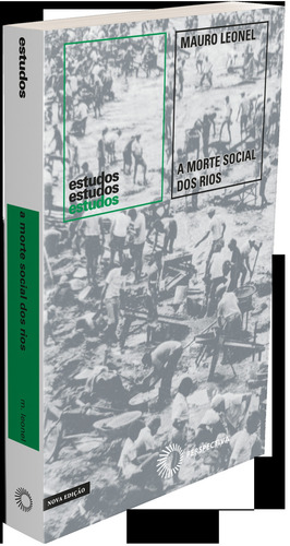A morte social dos rios, de Leonel, Mauro. Estudos Editorial Editora Perspectiva Ltda., capa mole em português, 2020