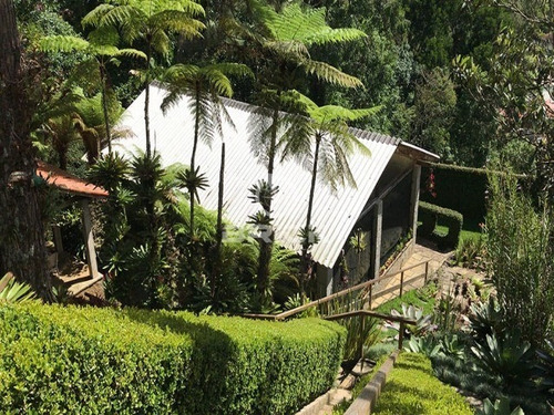 Imagem 21 de 25 de Casa Com 4 Quartos No Parque Do Imbuí - Ca01565 - 68854616