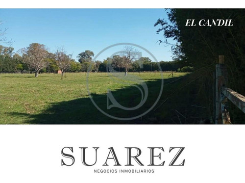 Imagen 7 de 11 de En Venta Terreno San Andres De Giles Km 95 Ramal Pilar
