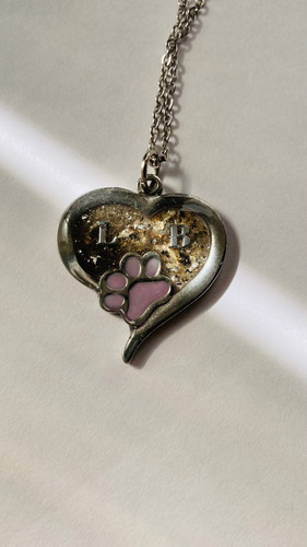 Dije Conmemorativo Pelo Ceniza Cremacion Humanos O Mascotas Color A Eleccion