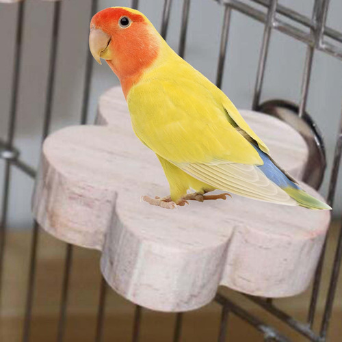 3 Para Percha Para Pájaros, Soporte Para Loros, Juguetes