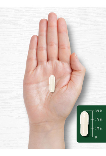 Suplemento De Extrato De Semente De Toranja Carlyle 500 Mg 1