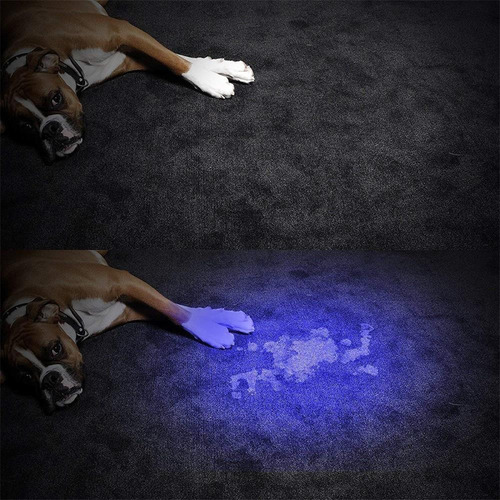 Linterna Led Violeta, Luz Negra, Inspección De 395 Nm