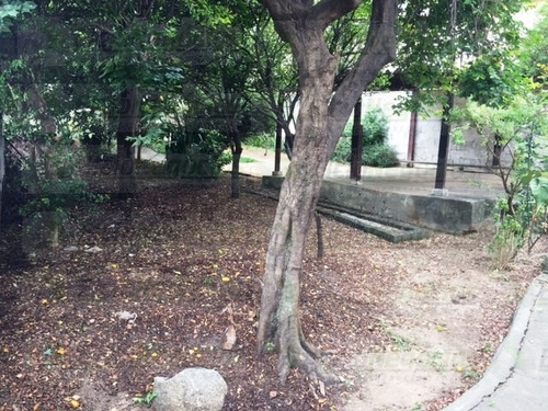 Imagem 8 de 12 de Terreno Para Venda, 0.0 M2, Vila Pereira Cerca - São Paulo - 1518