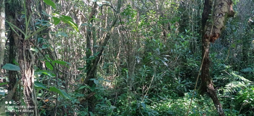 Imagem 5 de 8 de Terreno De Chácara Medindo 1474m² De Área Total E Próximo Ao Rio Em Itanhaém, Litoral Sul De Sp.