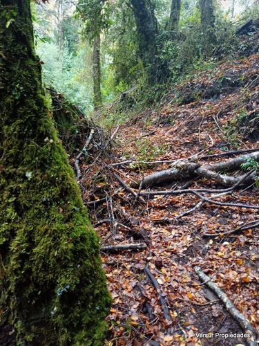 Venta Parcela Lefincul Pucón Orilla De Río