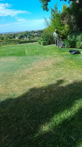 Mantenimiento De Jardín